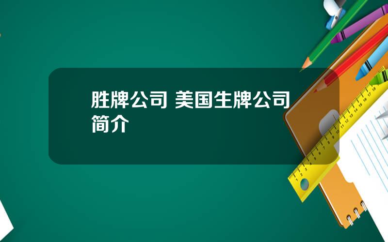胜牌公司 美国生牌公司 简介